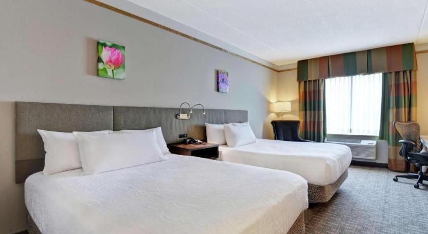 Hilton Garden Inn Appleton/Kimberly Eksteriør billede